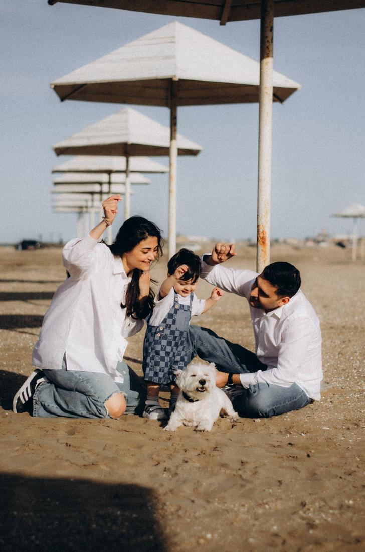 Parents playing with their toddler and dog on a beach
